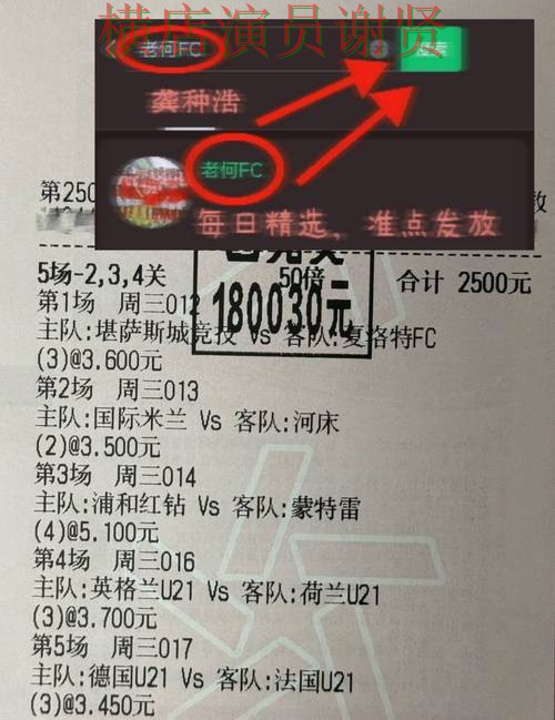世界杯投注网站最新排名与用户体验分析 世界杯投注网站最新排名与用户体验分析